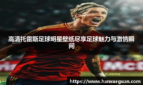 高清托雷斯足球明星壁纸尽享足球魅力与激情瞬间